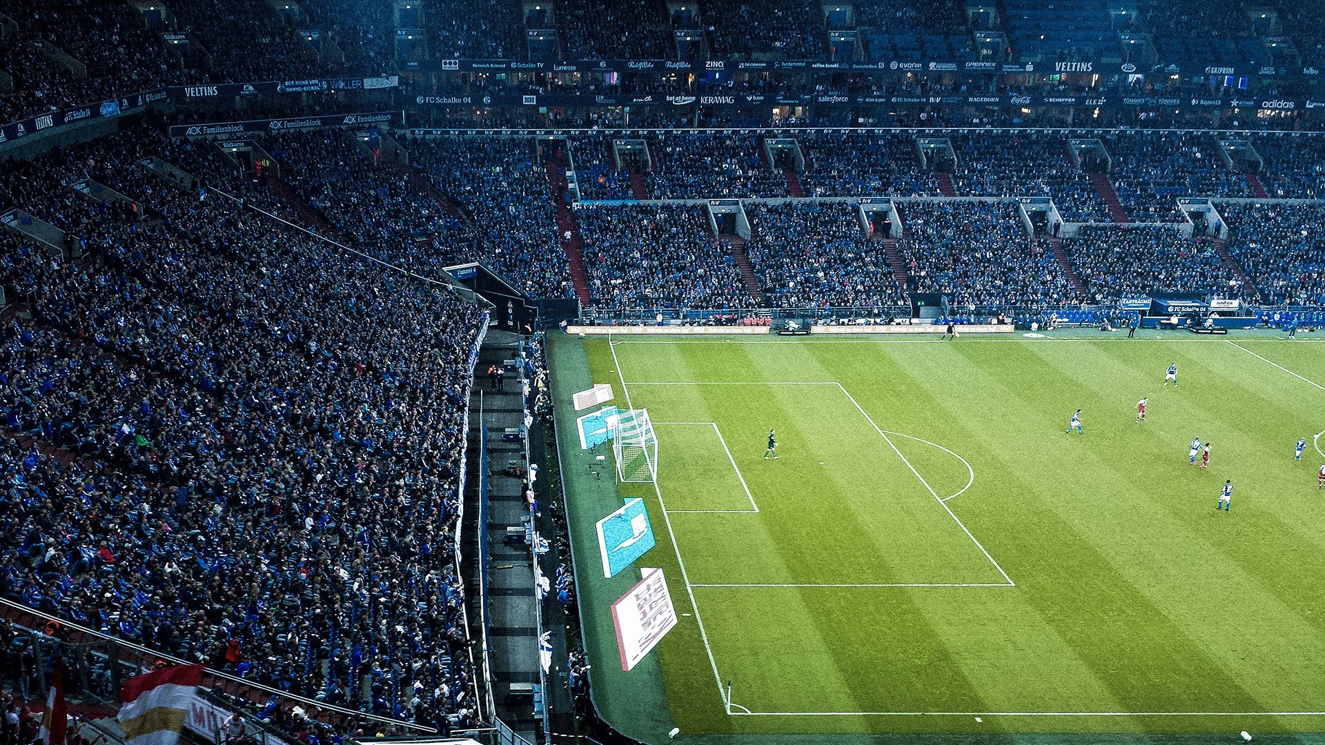 JackeyLove在老鹰比赛中出色防守，晋级下一阶段引发热议！全场沸腾不已